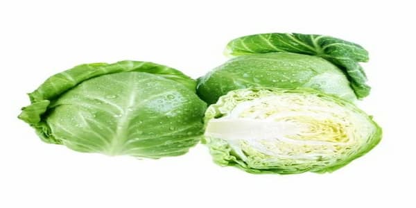 تصویر 1 از خرید جدیدترین انواع کاهو پیچ کوچک